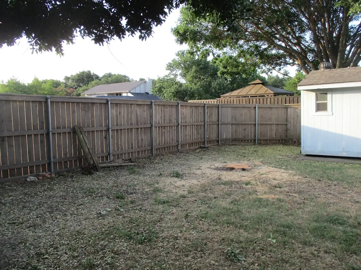 Cleared yard after professional tree removal in Deer