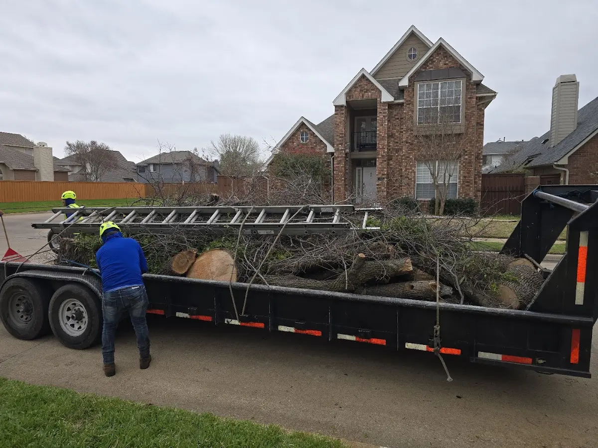 Expert Lot Clearing with proper safety equipment in Deer